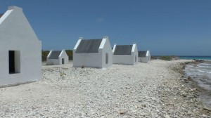 Bonaire4